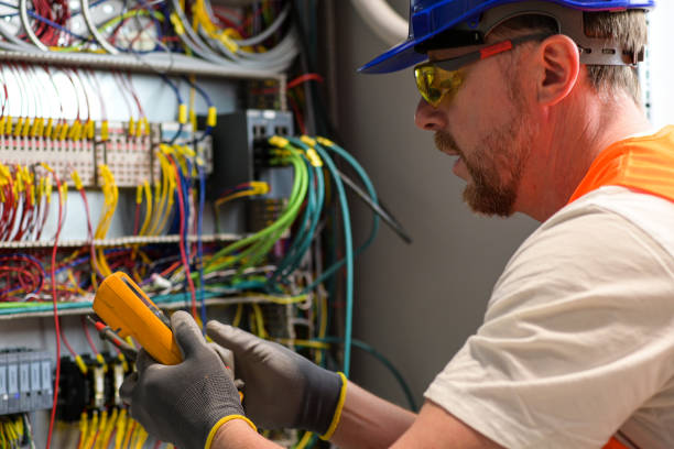 Best Electric Panel Repair  in Grantsburg, WI